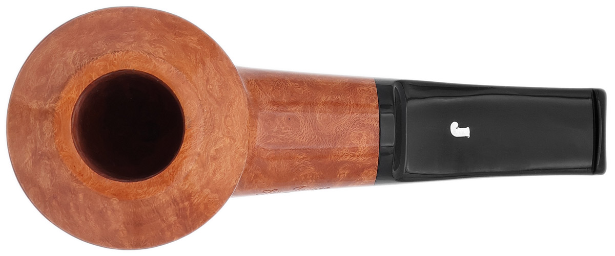 Ser Jacopo Smooth Rhodesian (L2)