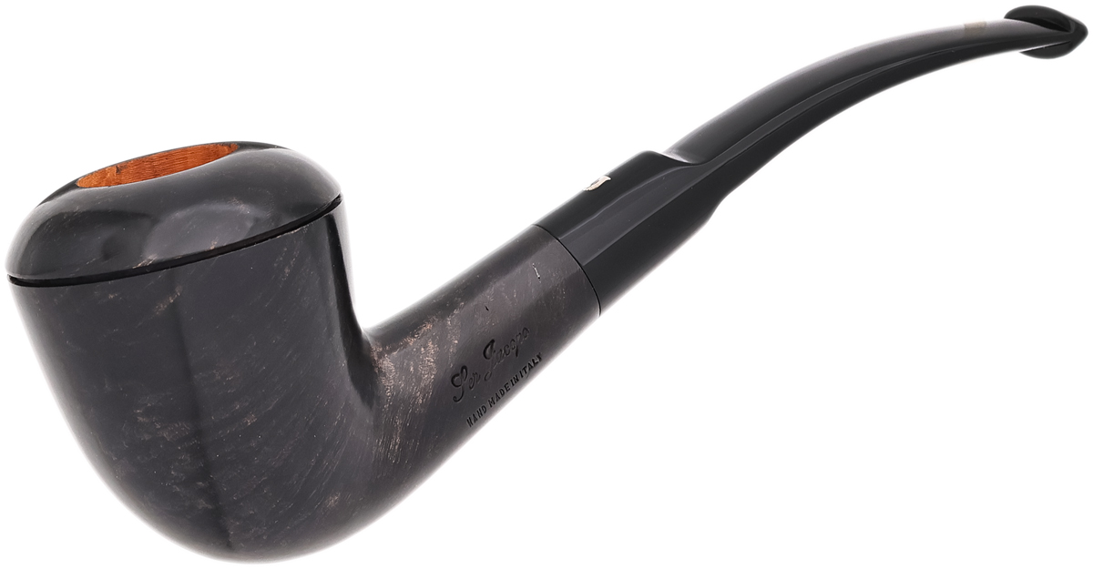 Ser Jacopo Smooth Rhodesian (L) (A) (Maxima)