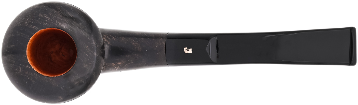 Ser Jacopo Smooth Rhodesian (L) (A) (Maxima)