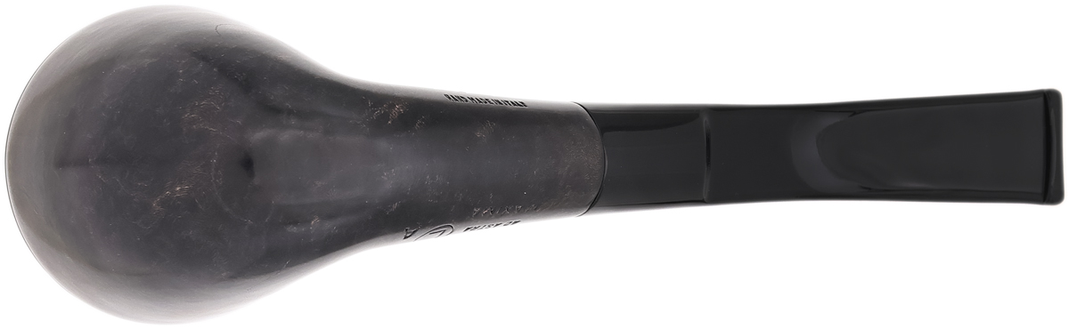 Ser Jacopo Smooth Rhodesian (L) (A) (Maxima)