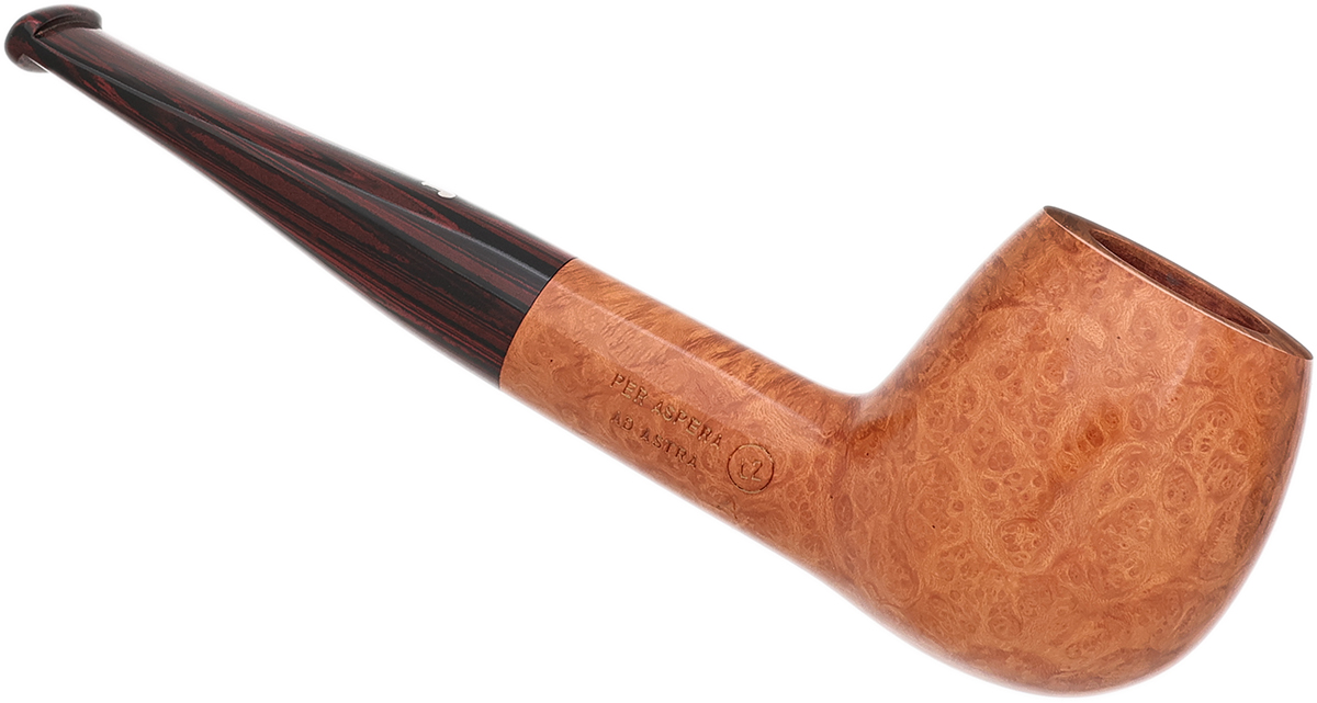 Ser Jacopo Smooth Apple with Cumberland Stem (L2) (A)