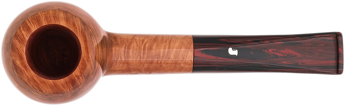Ser Jacopo Smooth Apple with Cumberland Stem (L2) (A)
