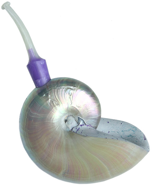 Todd Johnson Nautilus with Bakelite (Phalanx)