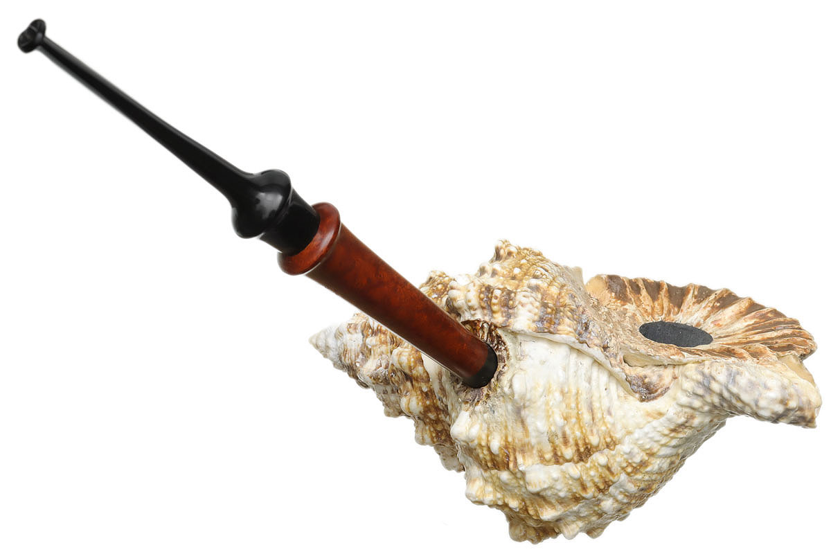 Todd Johnson The Conch (Phalanx Q)