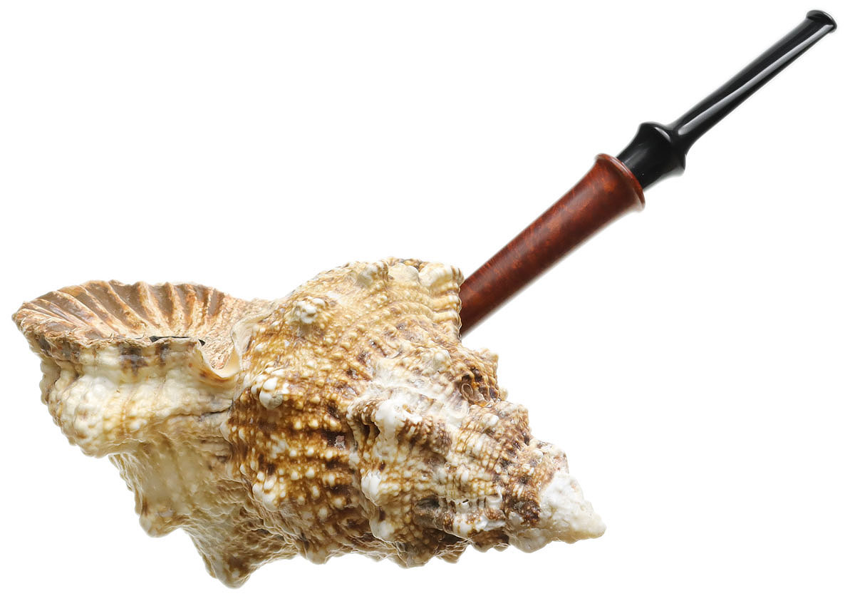 Todd Johnson The Conch (Phalanx Q)