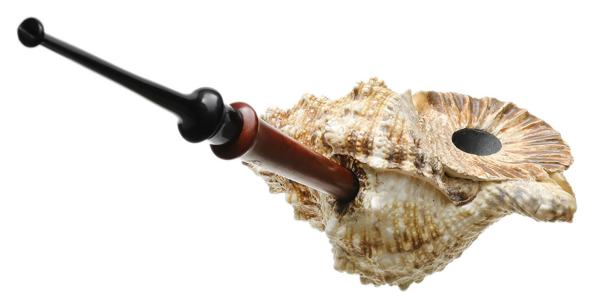 Todd Johnson The Conch (Phalanx Q)