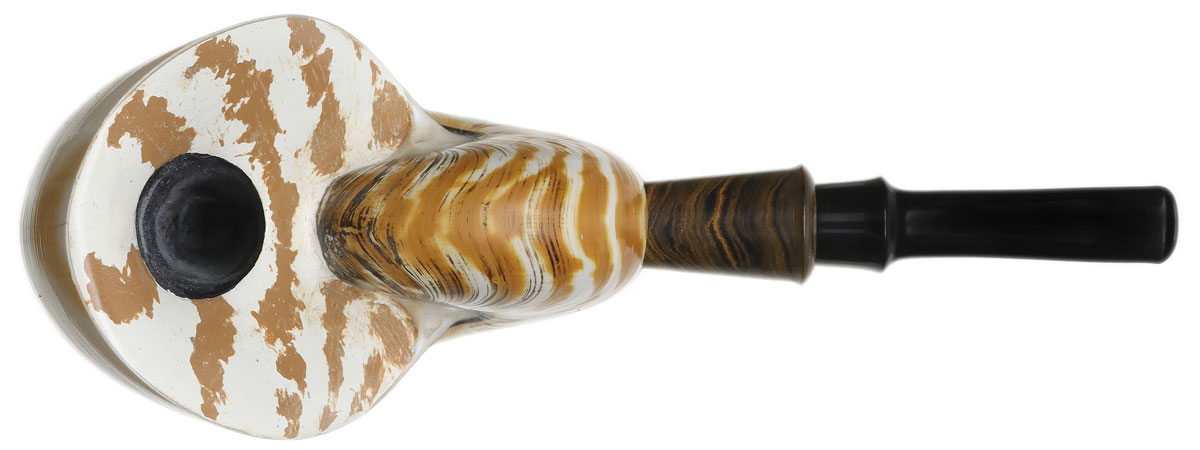 Todd Johnson Tiger Nautilus