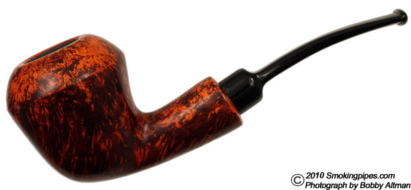 Neerup Selection Smooth Bent Rhodesian (3)