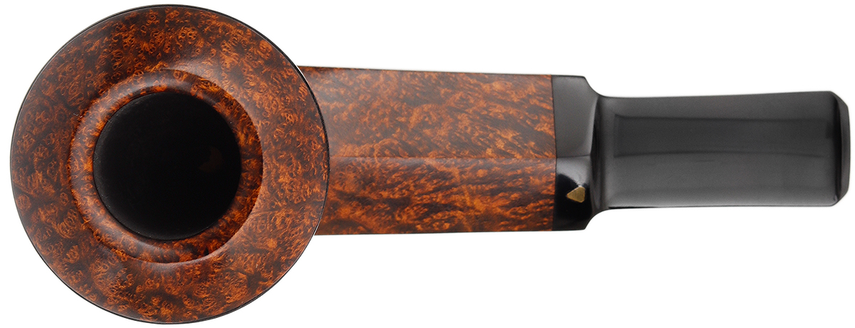Kurt Balleby Smooth Rhodesian