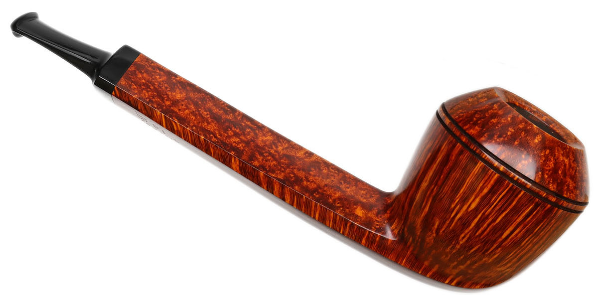 Kurt Balleby Smooth Rhodesian (1622)