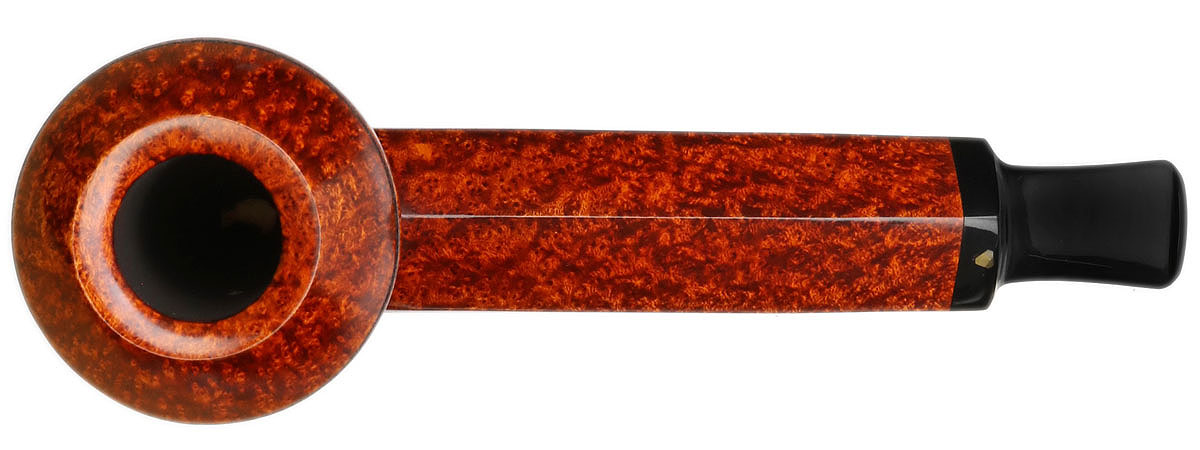 Kurt Balleby Smooth Rhodesian (1622)