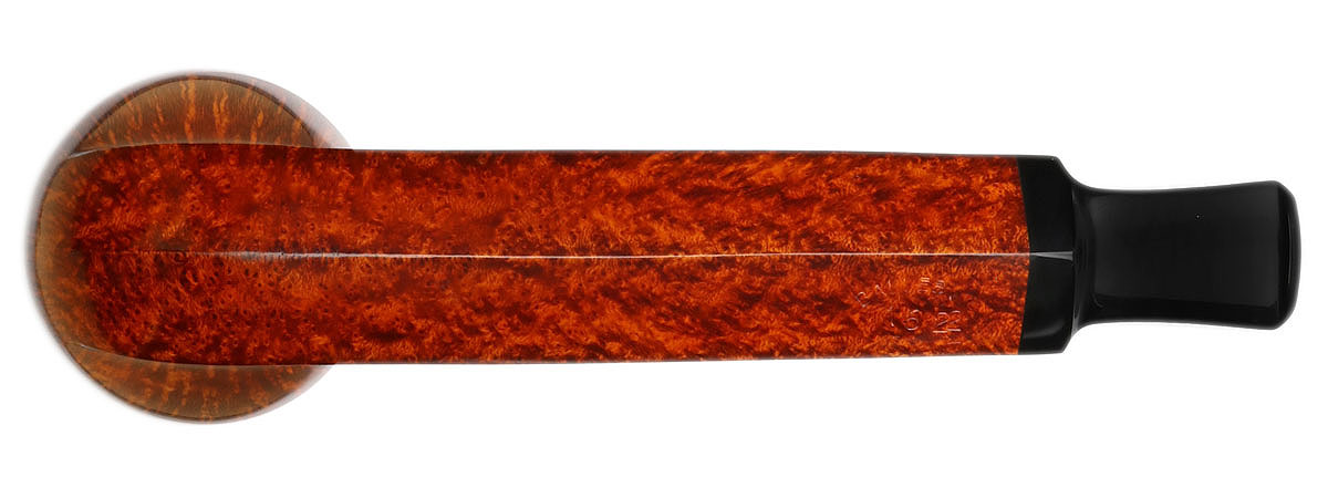 Kurt Balleby Smooth Rhodesian (1622)