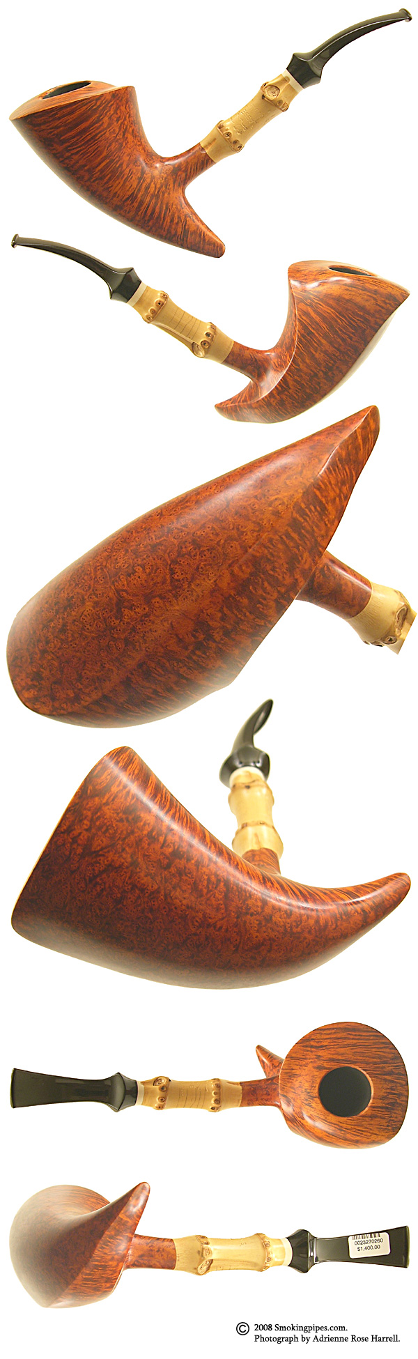 Lasse Skovgaard Smooth Shark