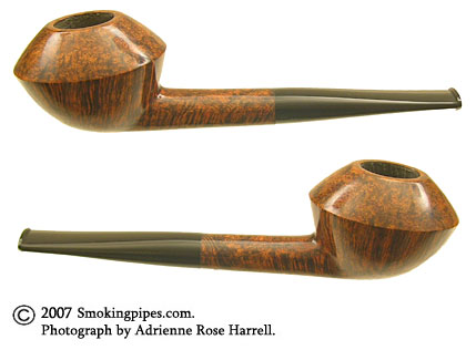 Sara Eltang Smooth Rhodesian