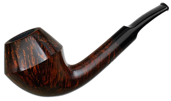 Sara Eltang Smooth Rhodesian