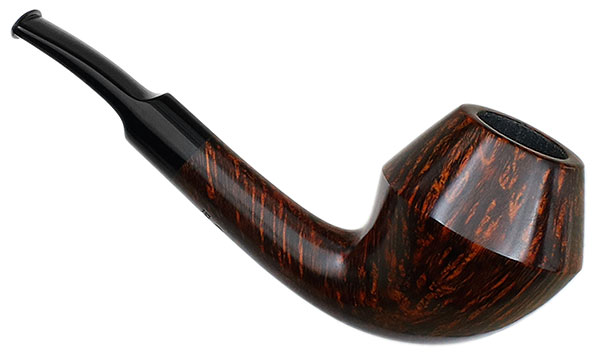 Sara Eltang Smooth Rhodesian