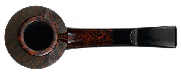 Sara Eltang Smooth Rhodesian