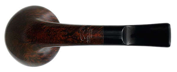 Sara Eltang Smooth Rhodesian