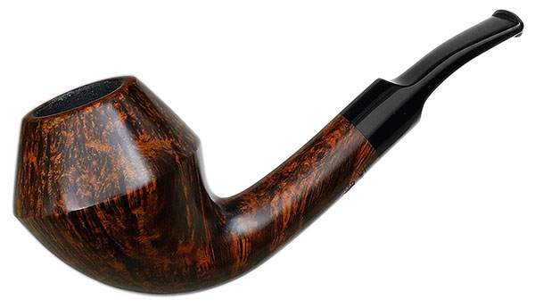 Sara Eltang Smooth Rhodesian