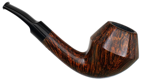 Sara Eltang Smooth Rhodesian