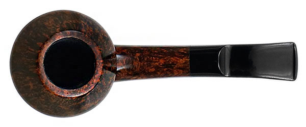 Sara Eltang Smooth Rhodesian