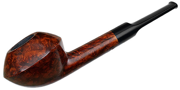 Sara Eltang Smooth Rhodesian
