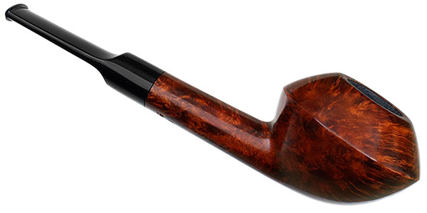 Sara Eltang Smooth Rhodesian