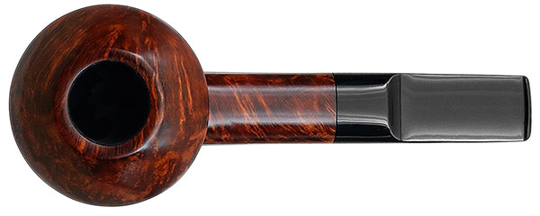 Sara Eltang Smooth Rhodesian