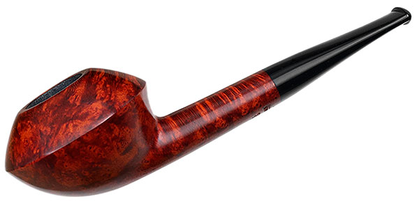 Sara Eltang Smooth Rhodesian
