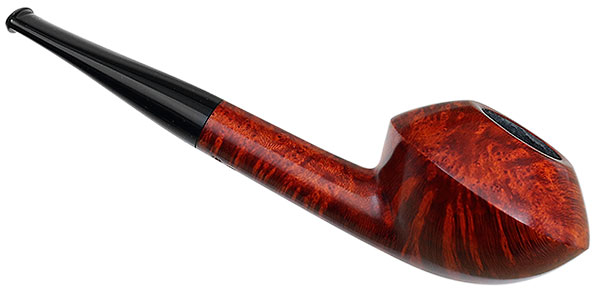 Sara Eltang Smooth Rhodesian