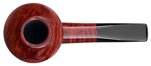 Sara Eltang Smooth Rhodesian