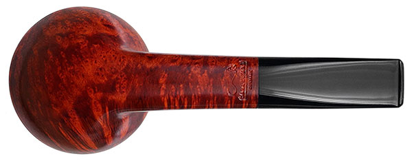 Sara Eltang Smooth Rhodesian