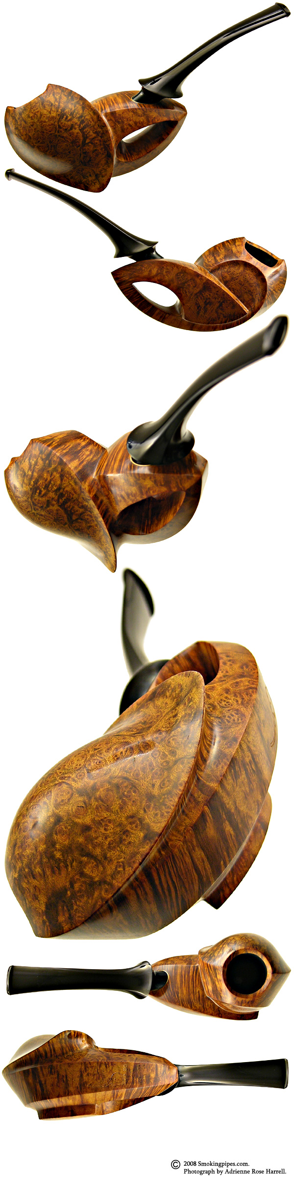 Alex Florov Smooth Fused Blowfish (Elephant Slonim)