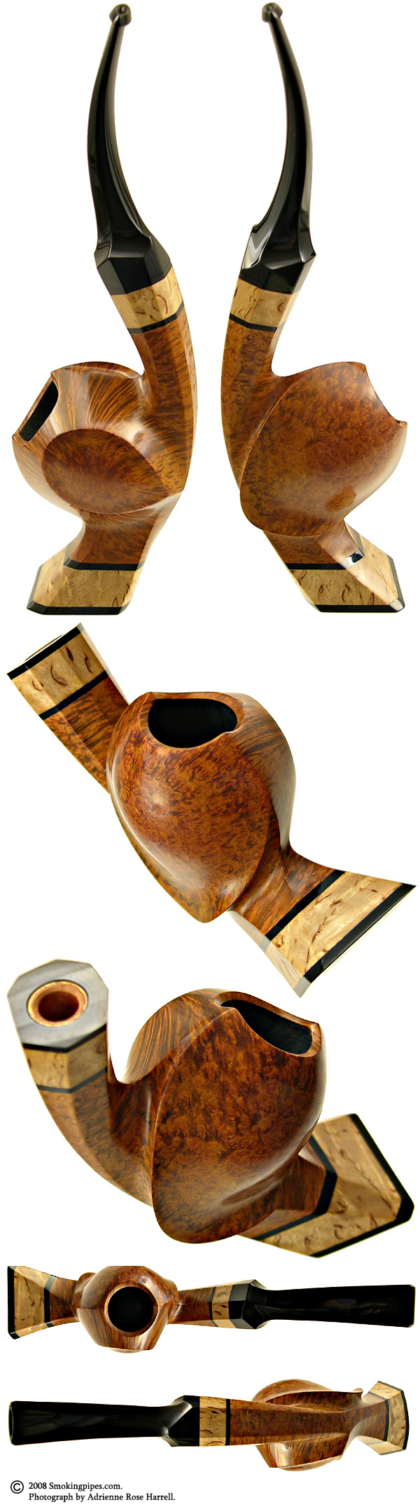 Alex Florov Smooth Blowfish Cavalier with Mazur Birch