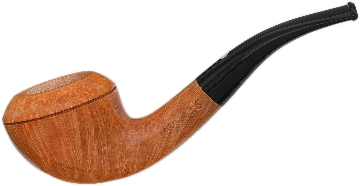 Claudio Cavicchi Smooth Rhodesian (CCCC)