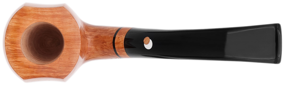 Claudio Cavicchi Smooth Elephant