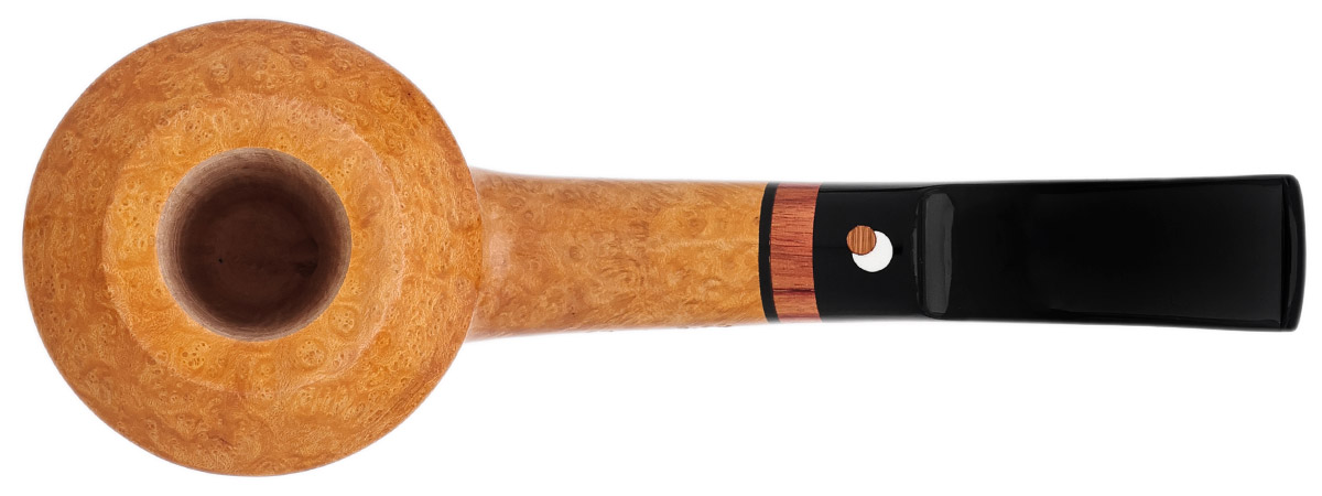 Claudio Cavicchi Smooth Rhodesian (CCCC)