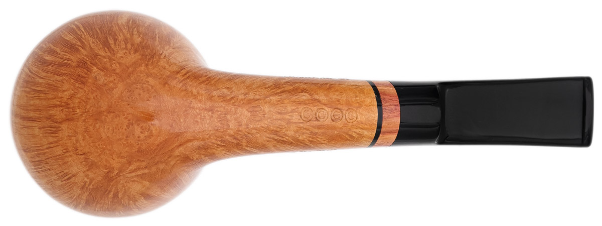 Claudio Cavicchi Smooth Rhodesian (CCCC)