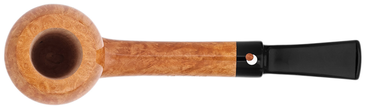 Claudio Cavicchi Smooth Rhodesian (CCCC)