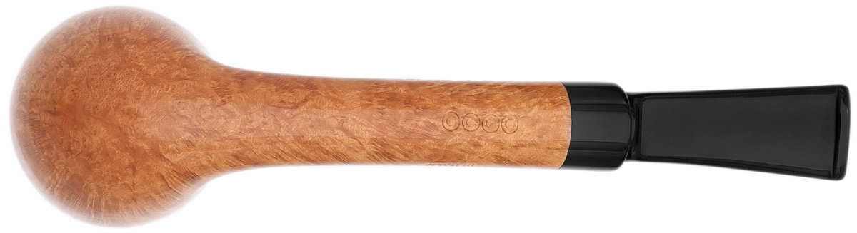 Claudio Cavicchi Smooth Rhodesian (CCCC)