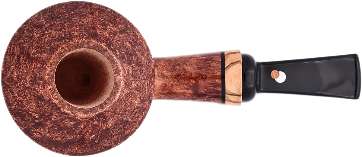 Claudio Cavicchi Brown Smooth Rhodesian with Olivewood