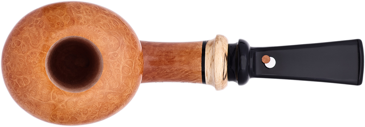 Claudio Cavicchi Smooth Acorn with Spalted Beechwood (CCCCC)