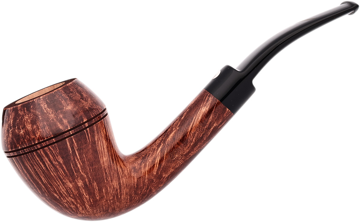 Claudio Cavicchi Brown Smooth Rhodesian