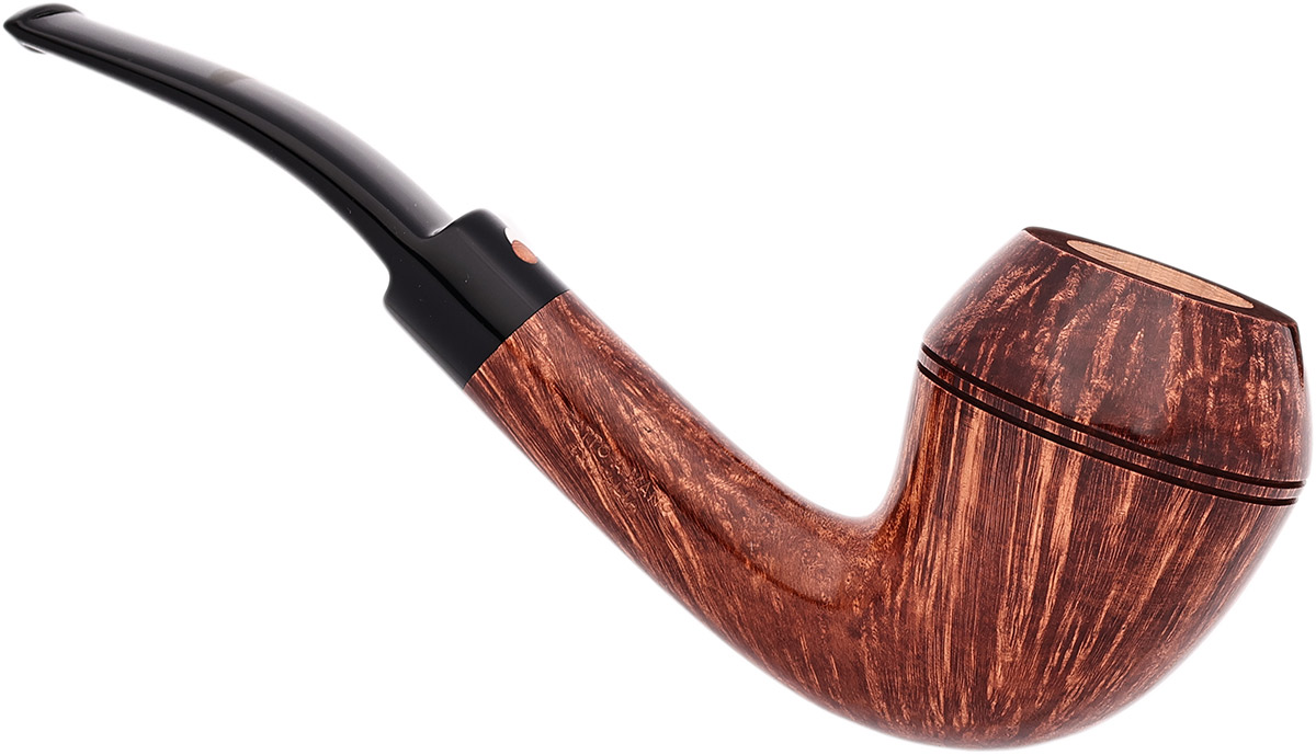Claudio Cavicchi Brown Smooth Rhodesian
