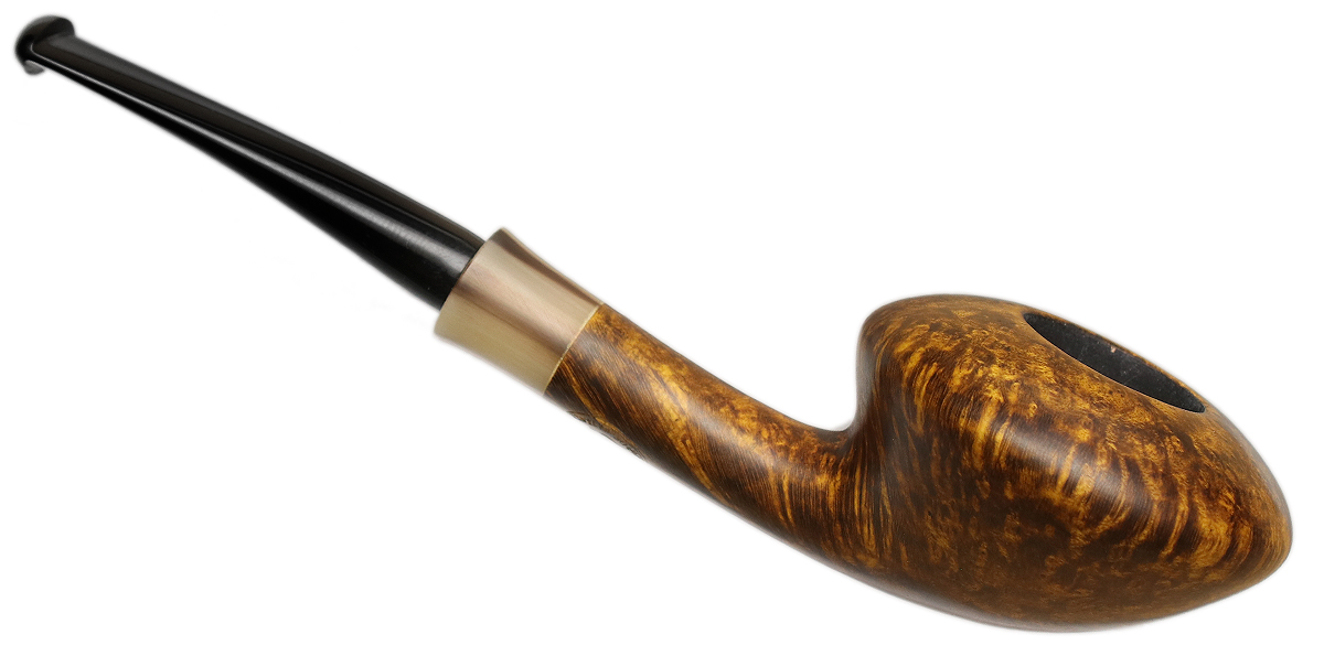 Il Duca Smooth Rhodesian with Horn (D)