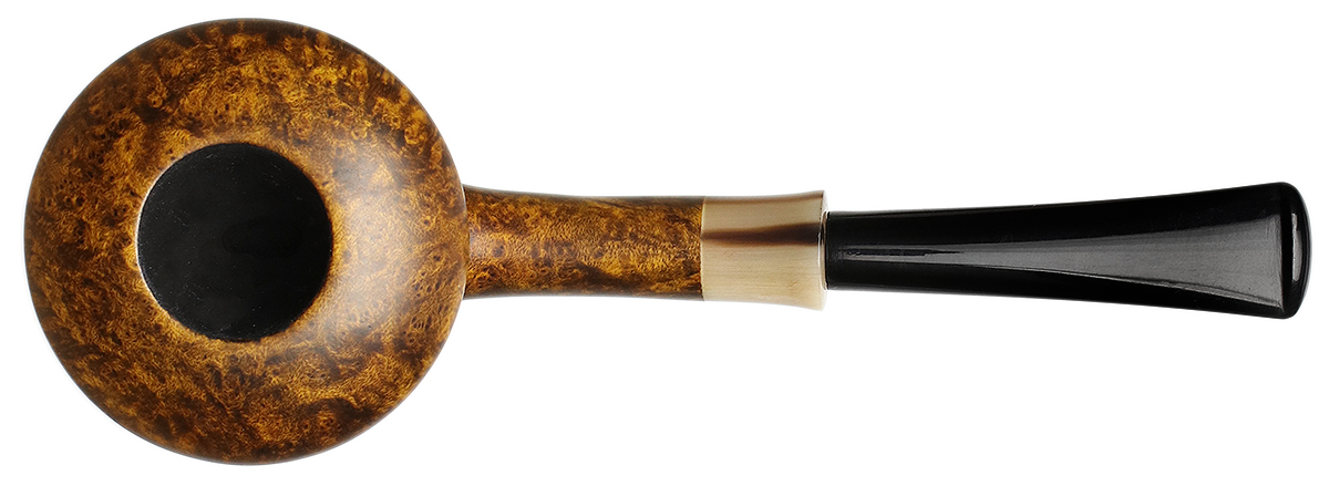 Il Duca Smooth Rhodesian with Horn (D)