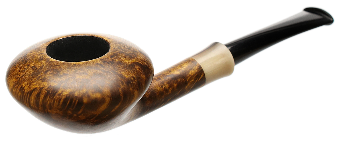 Il Duca Smooth Rhodesian with Horn (D)