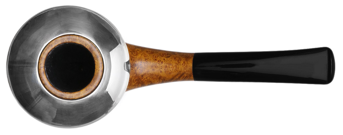 Il Duca Smooth Rhodesian with Silver Cap (D)