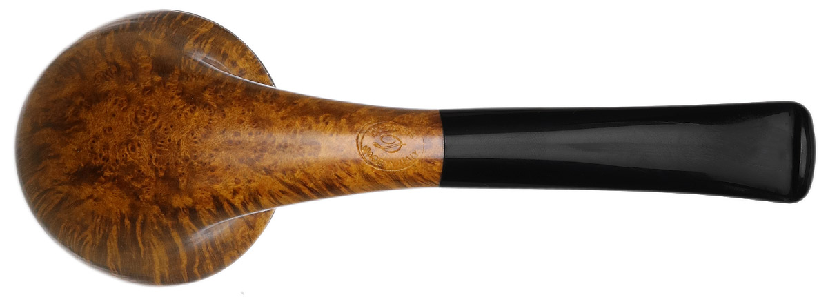 Il Duca Smooth Rhodesian with Silver Cap (D)