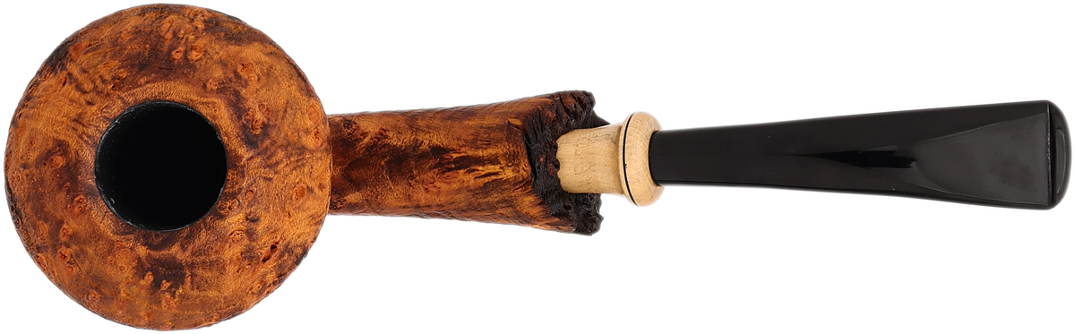 Il Duca Sandblasted Rhodesian with Boxwood (B)